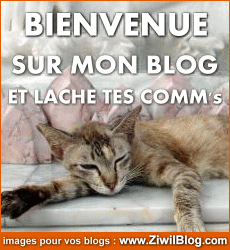 bienvenue 