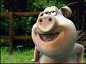 qel bébéte ce cochon !!