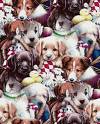 tous plein de chien !!!!!