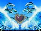 les dauphins