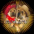 qe de bo chien !!