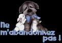 pauvre chien 