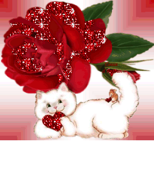 chat and rose