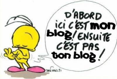 mon blog !!!!!